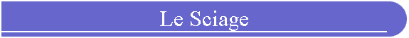 Le Sciage